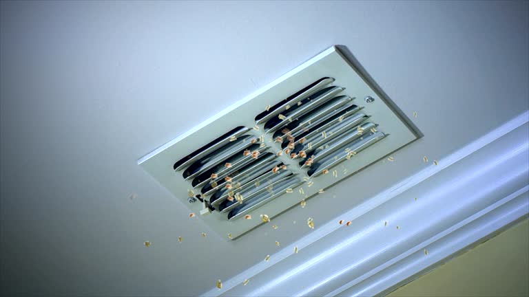 Air Duct Mold Removal in Homestead, PA
