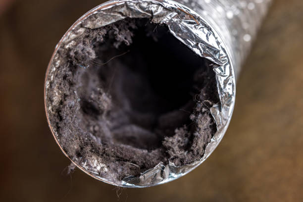 Best Affordable Duct Cleaning Services  in Homestead, PA