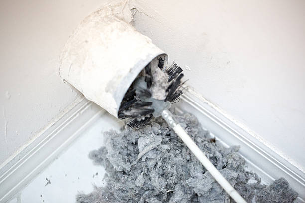 Best Professional Duct Cleaning Services  in Homestead, PA